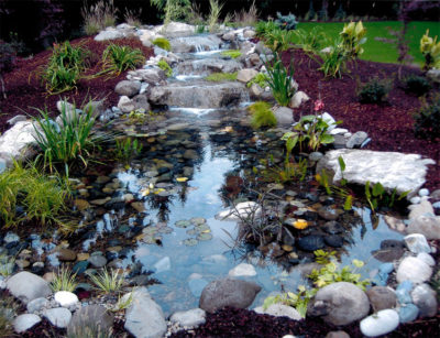 Featured Contractor Valley Landscape, Valley Landscape Center Tualatin Or